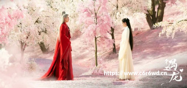 微信玩羊了个羊官网小程序版 羊了个羊星球微信小游戏即点即玩教程